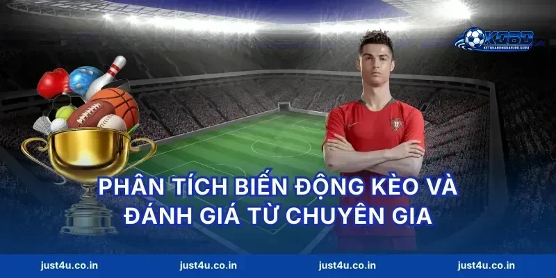 Phân tích biến động kèo và đánh giá từ chuyên gia