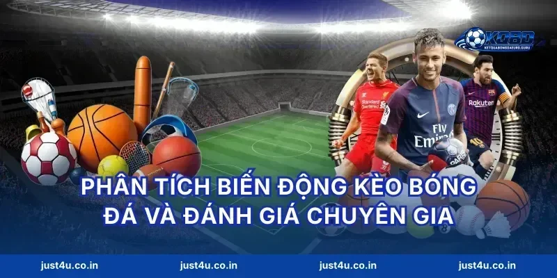 Phân tích biến động kèo bóng đá và đánh giá chuyên gia
