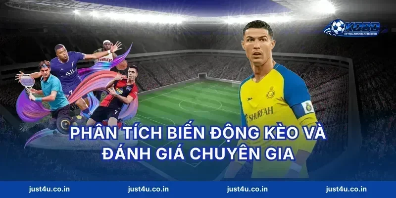 Phân tích biến động kèo và đánh giá chuyên gia