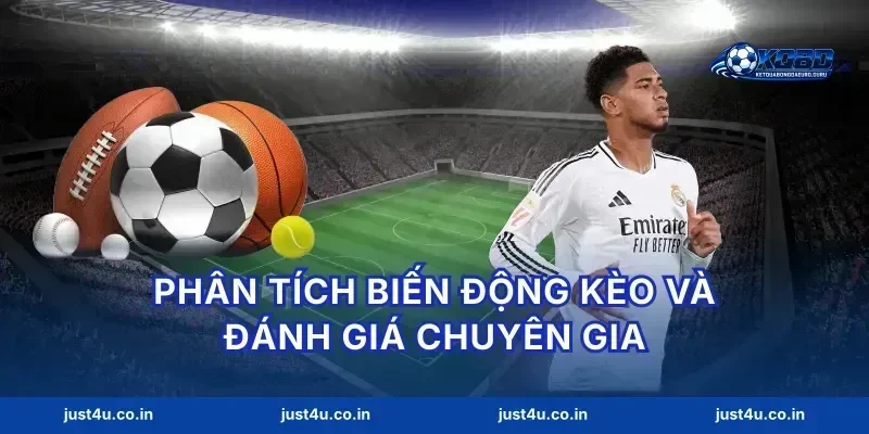 Phân tích biến động kèo và đánh giá chuyên gia