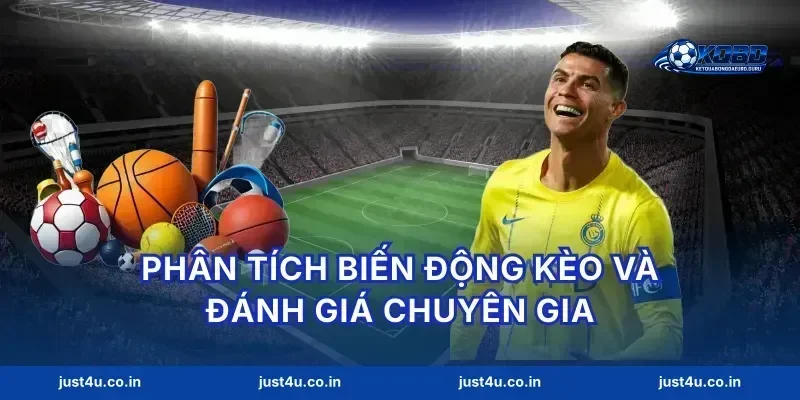 Phân tích biến động kèo và đánh giá chuyên gia