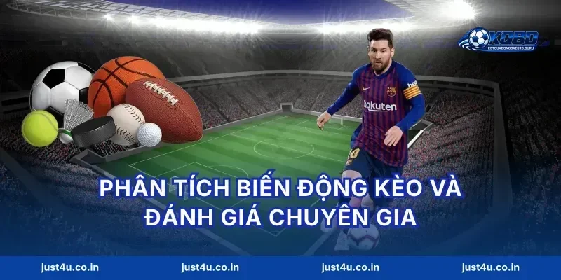 Phân tích biến động kèo và đánh giá chuyên gia