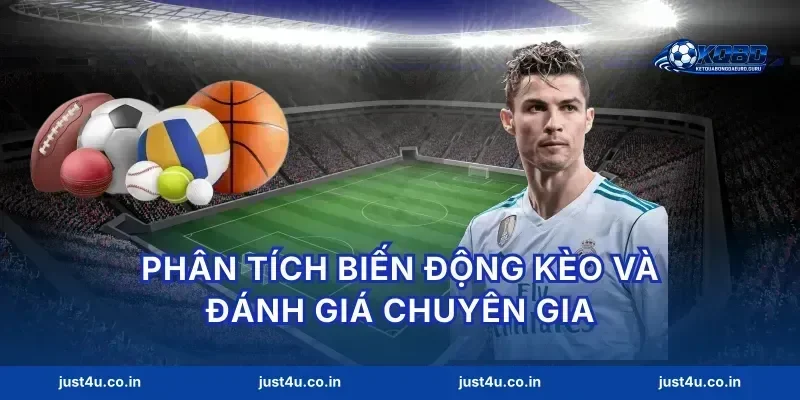Phân tích biến động kèo và đánh giá chuyên gia