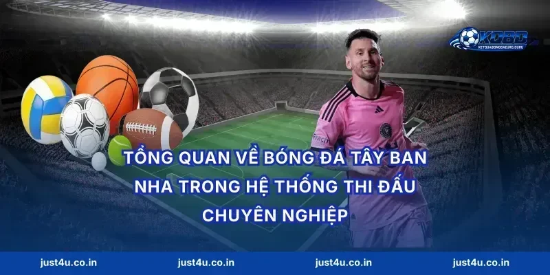Tổng quan về Bóng đá Tây Ban Nha trong hệ thống thi đấu chuyên nghiệp