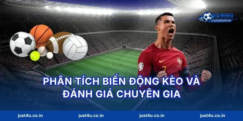 Phân tích biến động kèo và đánh giá chuyên gia