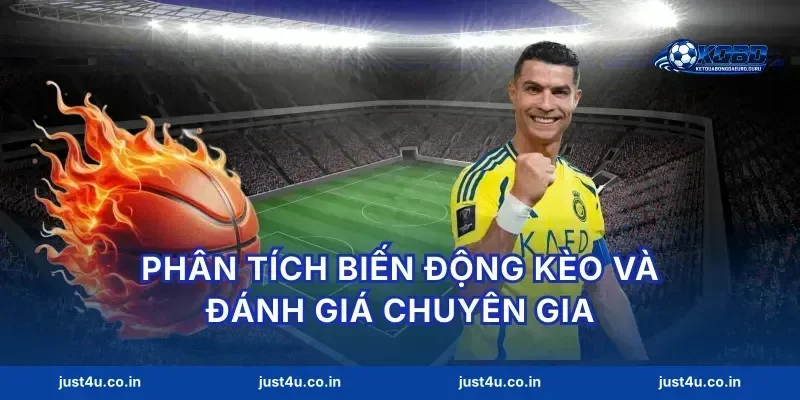 Phân tích biến động kèo và đánh giá chuyên gia
