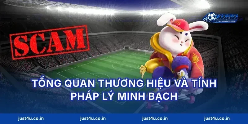 Tổng quan thương hiệu và tính pháp lý minh bạch