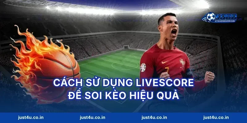 Cách sử dụng livescore để soi kèo hiệu quả