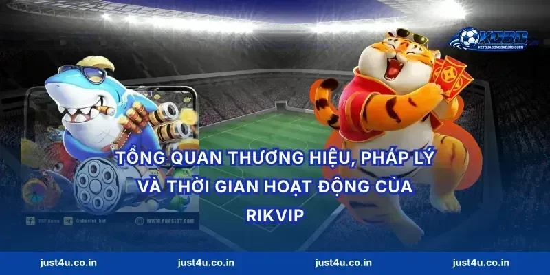 Tổng quan thương hiệu, pháp lý và thời gian hoạt động của Rikvip