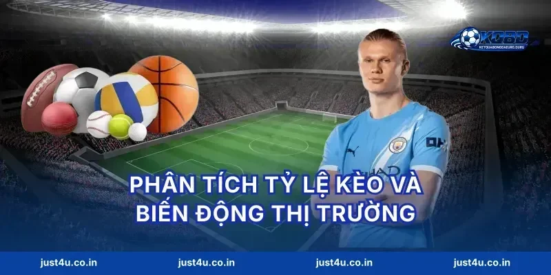Phân tích tỷ lệ kèo và biến động thị trường